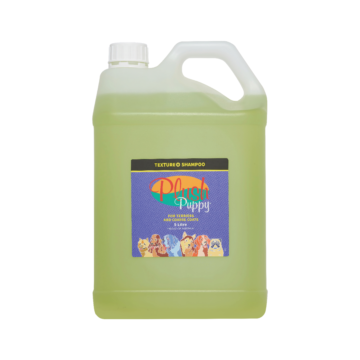 Texture+ Shampoo